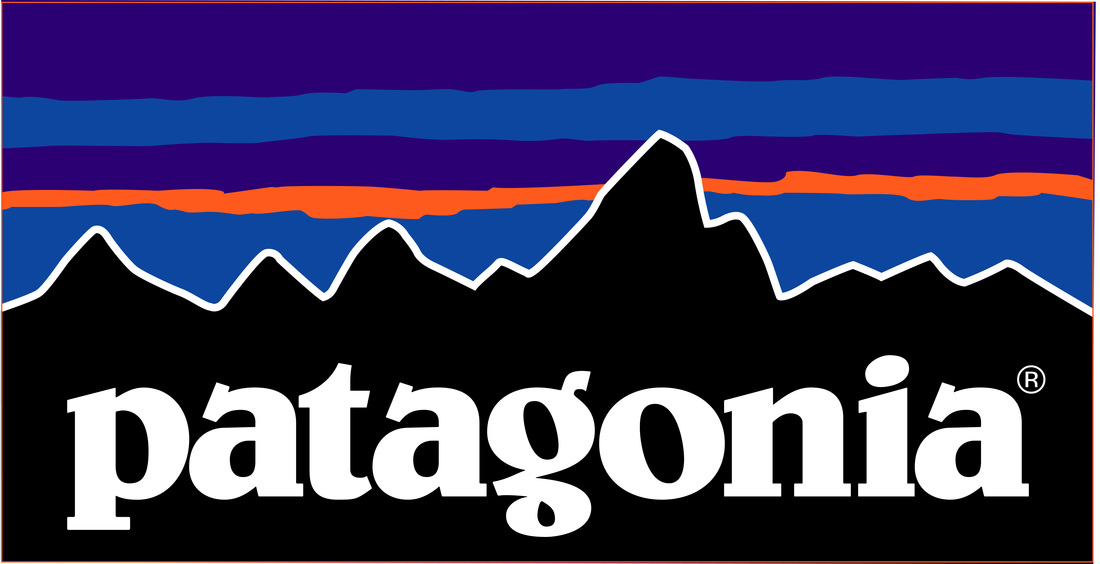 Patagonia eco friendly brand, best ski school 